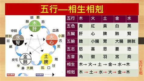 火剋金感情|五行